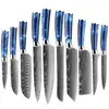Juego de Cuchillos de Chef para Venta al por Mayor en Amazon Transfronterizo, Cuchillo Santoku para Rebanar Frutas, Cuchillo de Cocina Multiusos para Deshuesar, Juego de Cuchillos de 10 Piezas
