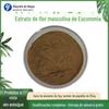 Extrato de Flor Masculina de Eucommia 10:1 Pólen de Eucommia Masculino Liofilizado com Qualificações Completas, a partir de 1kg em estoque