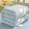 Núcleo de Colcha Lavable de Algodón Puro Clase A Colcha de Verano Colcha de Primavera y Otoño Todo Algodón Doble Persona Dormitorio Estudiantil Colcha de Aire Acondicionado 4