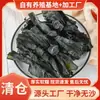 Nudos de Algas Marinas Nuevas Secas de Xiapu, Sin Sal, Sin Arena, Rodajas Gruesas de Algas Marinas para No Lavar, Algas Marinas Gruesas para Olla Caliente, Kanto