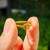 Anillo de Oro Arena Emulación 24K de Alta Imitación Moda para Mujer Combinable Trébol de Cuatro Hojas Anillo Abierto Productos de Bienestar en Vivo