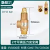 Calentador de Agua Eléctrico Haier Midea Tubería de Agua Válvula de Alivio de Presión Automática Válvula de Seguridad Caldera Tanque de Gas Compresor de Aire Vapor de Escape