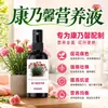Solución Nutritiva Clavel Fertilizante Especial para Claveles Fertilizante para Flores de Clavel Holandés en Maceta Planta Hogar Plantas Verdes Fertilizante para Flores