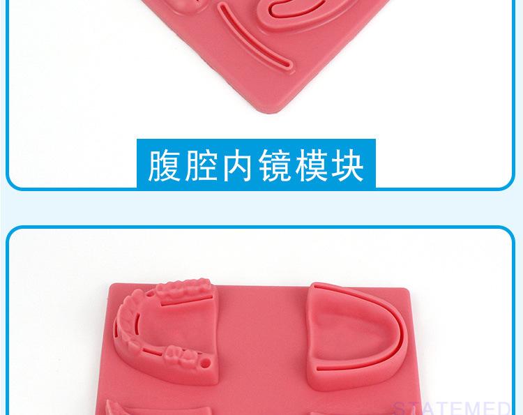口腔牙齿缝合练习模块 牙科实习生缝合硅胶模训练工具