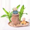 Madera Brasileña Hidropónica Planta Verde Madera de la Suerte Planta Verde de Escritorio Maceta Cultivo en Agua Oficina Interior Mini Planta Pequeña en Maceta