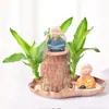Planta hidropônica de madeira brasileira, madeira da sorte, planta verde de mesa, cultivada em água, planta em vaso mini para interior para escritório, fácil de cuidar