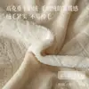 Conjunto de Roupa de Cama Espesso com Escultura em Leite de Lã Quatro Peças para Outono e Inverno Lençol Quente Capa de Edredom Saia de Cama Quarto Principal Simples com Toque de Luxo Roupa de Cama