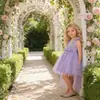 Vestido Infantil Novo Transfronteiriço, Saia de Tule com Cauda de Princesa, Traje de Performance Moderno Sem Mangas, Vestido Tutu de Passarela, Vestido de Noite