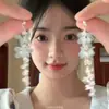 Uma Coleção de Itens Populares do Xiaohongshu ~ Brincos com Franjas Estilo Étnico Retrô, Brincos Longos e Brincos de Luxo Acessível de Nicho
