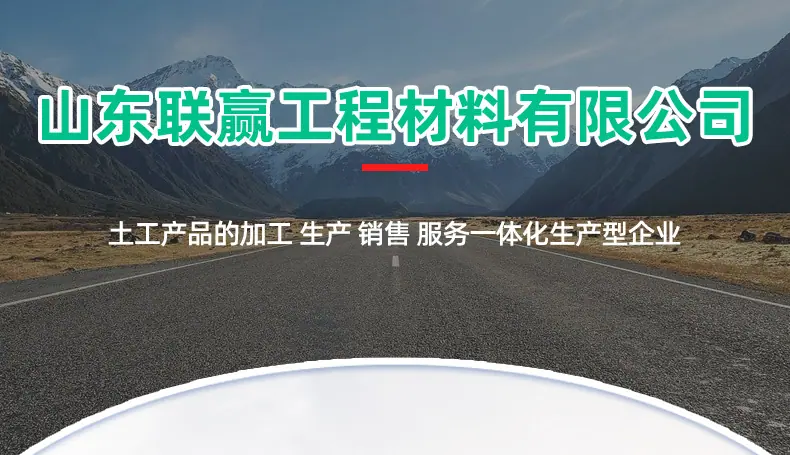 2钢塑土工格栅_01.jpg