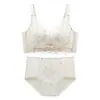 Sujetador Push-Up Pequeño de Encaje Bordado para Mujer, Grande Push-Up Anticaída, Reductor de Senos, Juego de Sujetadores sin Aros