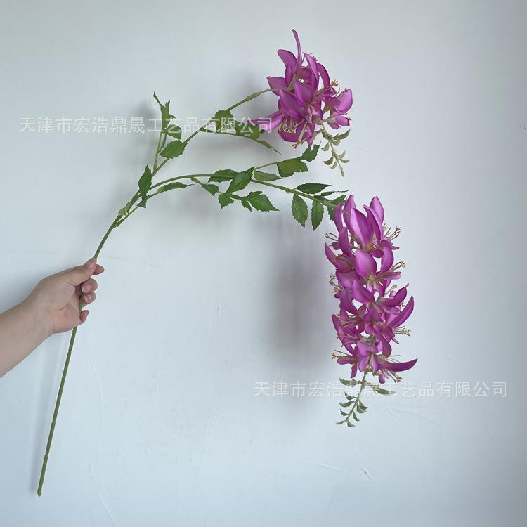 微信图片_20220824182023_副本