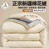 Nueva colcha de gasa de burbujas de algodón de Xinjiang, colcha de invierno, colcha de primavera y otoño, edredón, colcha de cuatro estaciones, colcha de aire acondicionado, ropa de cama