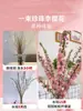 Ramas secas de Wintersweet, Flores frescas, Plantas hidropónicas, Arreglos florales fragantes, Ramas frescas de Sauce de Nieve cultivado en agua, Ramos, Plantas en maceta