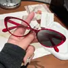 Óculos de Armação Pequena Triangular Simples de Novo Estilo Sem Grau para Mulheres, Armações de Óculos Estilo Rua, Óculos Sem Grau Anti-Luz Azul da Moda Europeia e Americana
