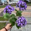 Hortênsia artificial de madeira verde Nova 3 hortênsia de madeira Bola de neve roxa branca casamento jardim macio flores falsas atacado