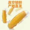 Suministrado directamente por el fabricante: 10 Mazorcas de Maíz Amarillo Glutinoso del Noreste, Maíz Negro, Pegajoso, Fresco, Sin OGM, Alimento No Orgánico, Envío Gratis