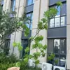 Outono 2026 Plantas Verdes Artificiais Casamento Decoração de Casa Plantas Verdes Falsas Atacado