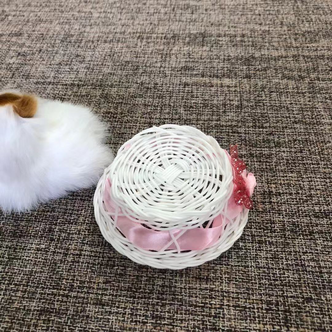 小圆框兔子和猫，和叫猫