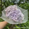 [Anna solteira] Hortênsia Eterna Anna Ramo Inteiro Hortênsia Flor Organizar Flor Fotografia Adereços Decoração