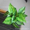 Acessórios artificiais da parede da planta da folha do pavão que projetam a decoração verde da paisagem Wannianqing a folha pequena do taro da rosa verde da decoração dos bonsais