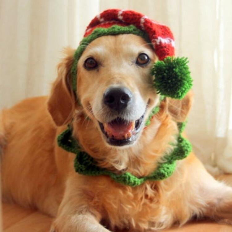 QQ图片20190924145136_副本_副本