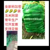 Bolsas de malla especiales para patatas, maíz y pollitos de ave, con buena transpirabilidad