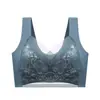 Sujetador de encaje del sudeste asiático transfronterizo con copa fija fina, espalda descubierta en forma de U para mujer, talla grande, push-up de seda helada, sujetador bonito para la espalda