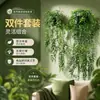 Venta Caliente Transfronteriza Plantas Verdes de Simulación Nandina Persa en Maceta Juego de 2 Piezas Decoración del Hogar Planta de Simulación Bonsái