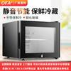 20L Quiet Home Homestay Hotel Room Mini Refrigerador Semicondutor Pequeno Mini Refrigerador para Conservação de Frescos