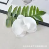Flor de Orquídea Phalaenopsis Cabeça de Flor Simulação de Filme Impressa em 3D Flor Artificial Lembrancinhas de Festa de Casamento Decoração de Caixa de Doces Acessório de Cabeça DIY Presilha de Cabelo