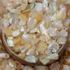 TikTok Novo Natural Parquet Concha Celebridade da Internet Irregular Peças de Nail Art Cor Preenchimento Decorativo Acessórios DIY