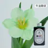 Materiais de embalagem para buquês, suprimentos para floristas, arte floral, absorvedor de cor de 300ML para rosas de corte fresco, corante especial