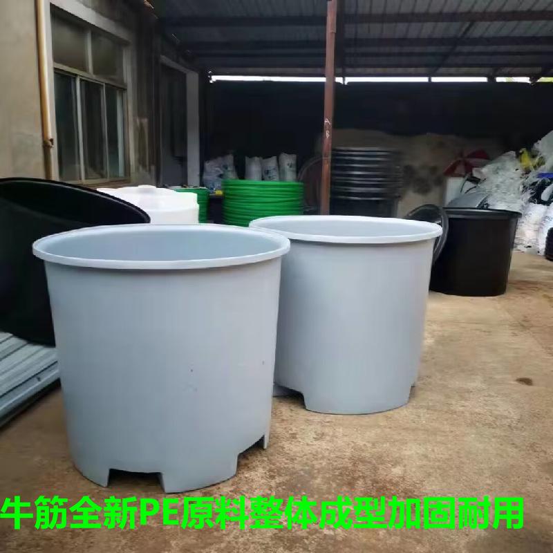 A6187A0F2250F8EFDC8CE5D917226A