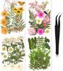 Bolsa de Material para Repujado de Flores Secas Transfronteriza Cara Pétalo Maquillaje Hoja Adhesivo Espécimen de Planta Flor Real Hecho a Mano Material DIY