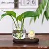 Estilo Moderno Tendencia Nacional Gato de la Suerte Potos Hidropónico Cerámica Florero Adorno de Escritorio para Hogar Oficina Escritorio Cultivo de Flores