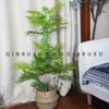 Árbol simulado Mimosa nueva planta biónica Zen china con fruta árbol falso en maceta sala de estar interior planta verde decorativa
