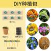 Jardim de Inverno Brinquedos de Plantio para Crianças DIY Planta Flor Observação Alunos do Ensino Fundamental Pacote de Experiência Científica Presente Explosão Transfronteiriça