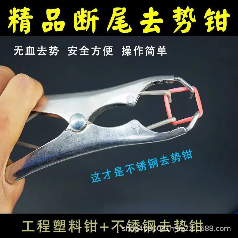 微信图片_20240405131916.jpg