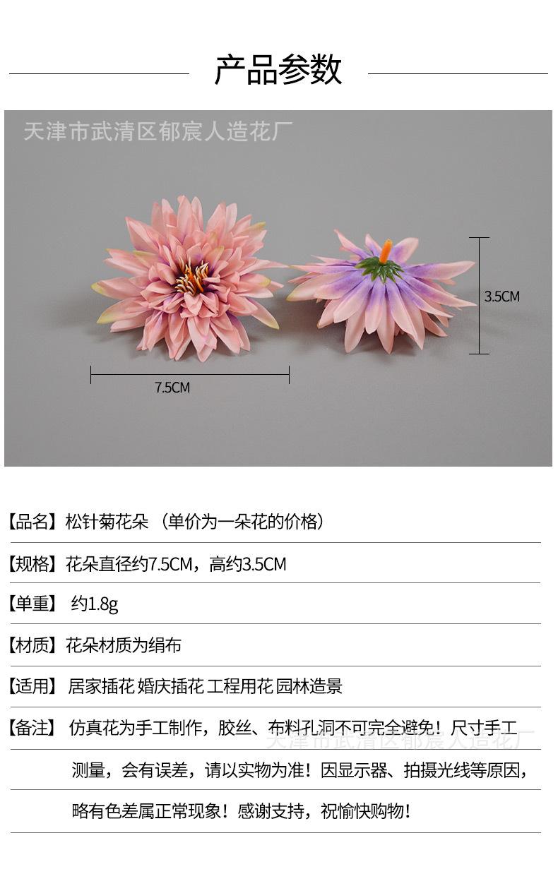 详情_01.jpg