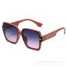 Novos Óculos de Sol de Designer da Moda Feminino, Óculos de Sol de Marca com Armação Grande, Atacado
