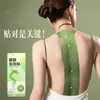 Pasta de Moxibustión Du Mai Long Aumenta el Tamaño Alargado Pasta de Moxibustión Moxibustión Espalda Moxibustión Columna Vertebral Cuerpo Entero General Transpirable Venta al por Mayor Generador de Cabello