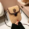 Mini Bolso Cruzado Cuadrado Pequeño de Moda Trendy de Invierno para Niñas, Bolso Pequeño Dulce y Fresco de Lana de Cordero, Bolso de Teléfono Transfronterizo