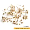 Chapeleiro Maluco [Frutas Secas Douradas de Natal] Casamento Artesanal DIY Decoração de Guirlanda de Natal Planta Natural Flores Secas
