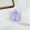 Invierno I Clip para el Cabello de Flor Brillante Fresca Moda Dulce Pasador Sencillo Estilo Vacaciones en la Costa Accesorio para el Cabello Versátil Lote