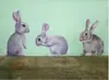 Decoración de Cristales de Autos Nuevos Transfronteriza Pegatinas de Animales de Dibujos Animados Accesorios para el Hogar Proyección de Gato en la Ventana Pegatinas Creativas