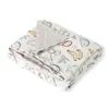 Cobertor de gaze dupla Ins, cobertor de pelúcia para bebês, outono e inverno, cobertor calmante infantil, capa para bebês com as quatro estações, bolsa cobertora