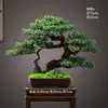 Novo Bonsai Artificial Estilo Chinês Inspirado em Zen Pinheiro Acolhedor e Pinheiro Arhat para Decoração de Escritório, Sala de Estar e Hall de Entrada