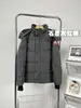 Venta Directa de Fábrica Comercio Exterior Chaqueta Grande de Plumas de Ganso 29 Estilos Parka para Hombre Wyndhaw Canadiense con Cuello de Piel de Lobo Expedición