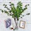 Simulación de Producto Nuevo Planta Verde Caballo Pequeño Madera Borracha Sala de Estar Escritorio Arreglo Floral Adornos Decoración del Hogar Planta Artificial Simulación Planta en Maceta